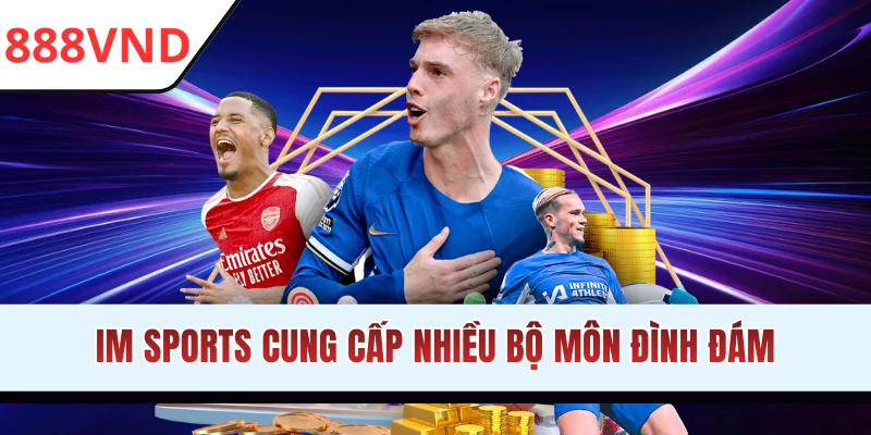 Thương hiệu IM Sports cung cấp nhiều bộ môn đình đám